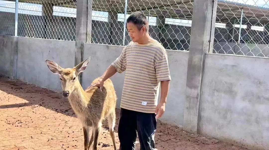 导航至皇冠